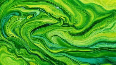 Çevre dostu sürdürülebilir boya renk trendleri, ekolojik yaşam alanları için seçimler.