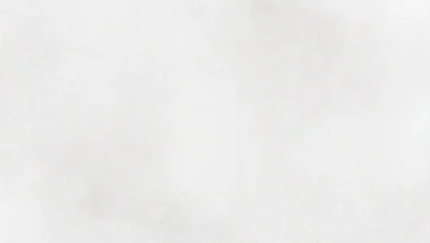 2026'da popüler olacak açık gri duvar tonu. Modern iç mekan dekorasyonunda trend gri renkler ve ev tasarım ipuçları.