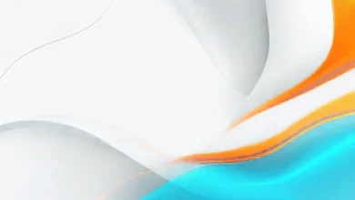 Açık gri renk paleti ve popüler alt tonları. Dekorasyonda ve giyimde açık gri kombinasyon fikirleri.