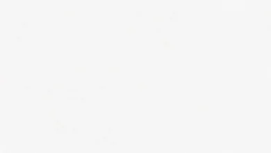 Açık gri ile mükemmel uyum sağlayan 5 renk önerisi, dekorasyon ve giyim için ideal palet.