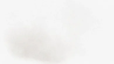 Açık gri tonları, doğal ışıkla uyumlu iç mekan boya seçimi ve 2026 trendleri.