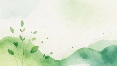 Çevre Dostu Boya Markaları 2026: Sürdürülebilir Seçimler