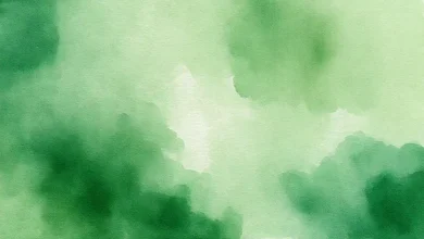 2026'nın en popüler koyu yeşil tonları. Trend renkler, ilham veren paletler ve şık seçenekler.