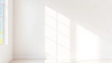 Küf önleyici boyalar 2026: En güvenilir markalar ve seçim rehberi.