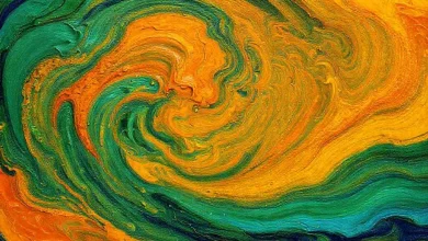 Sürdürülebilir ve doğal tonlarda renk tahminleri için ilham veren görseller.