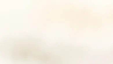 Sıcak alt tonlu açık gri boya ile modern iç mekan tasarımı. 2026'nın en popüler duvar rengi trendi.